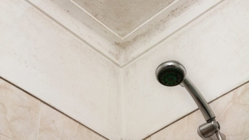 How to Identify Water Damage and Mold Risks in Your Bathroom in Cape Cod?