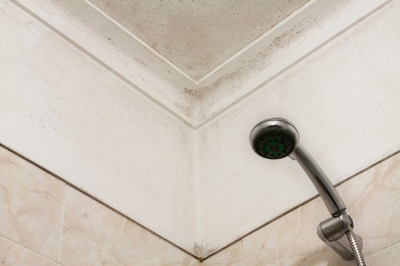 How to Identify Water Damage and Mold Risks in Your Bathroom in Cape Cod?